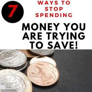 Read more about the article How to Not Spend Money and Save In 7 Steps