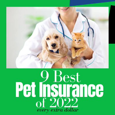 9 Best Pet Insurance Of 2022
