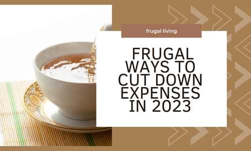 30 Sensible Frugal Ways to Cut Down Expenses In 2023